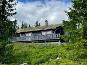 Centrally located cottage at Sjusjøen ski center